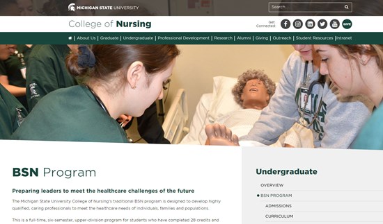The college of nursing licensure page
